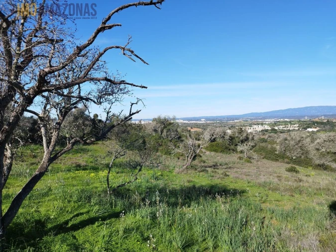 Moradia T2 para Venda em Lagoa e Carvoeiro Foto 10