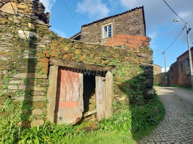 Moradia T0 para Venda em Raiva, Pedorido e Paraíso Foto 2