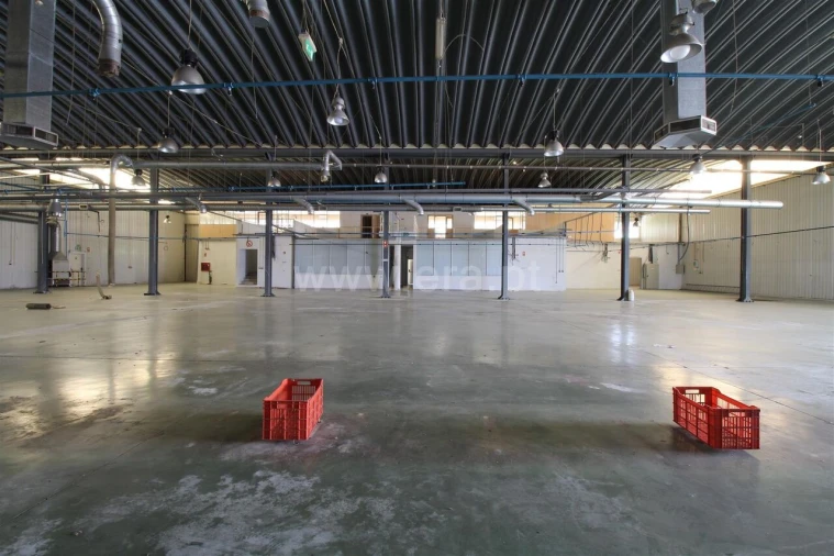 Armazém para Venda em Raiva, Pedorido e Paraíso Foto 10