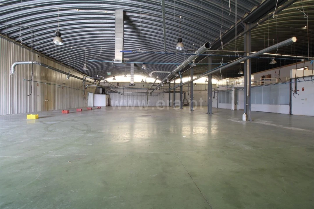 Armazém para Venda em Raiva, Pedorido e Paraíso Foto 9