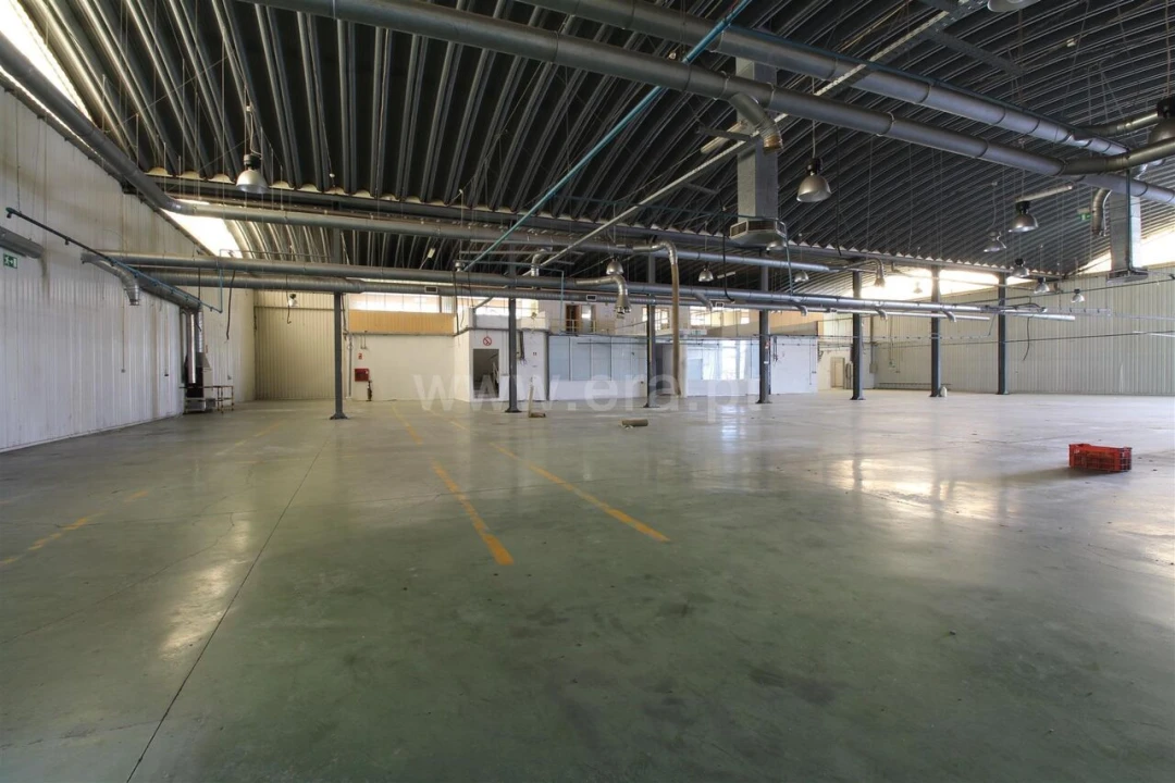 Armazém para Venda em Raiva, Pedorido e Paraíso Foto 11