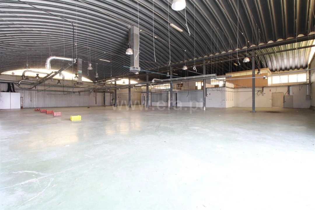 Armazém para Venda em Raiva, Pedorido e Paraíso Foto 8