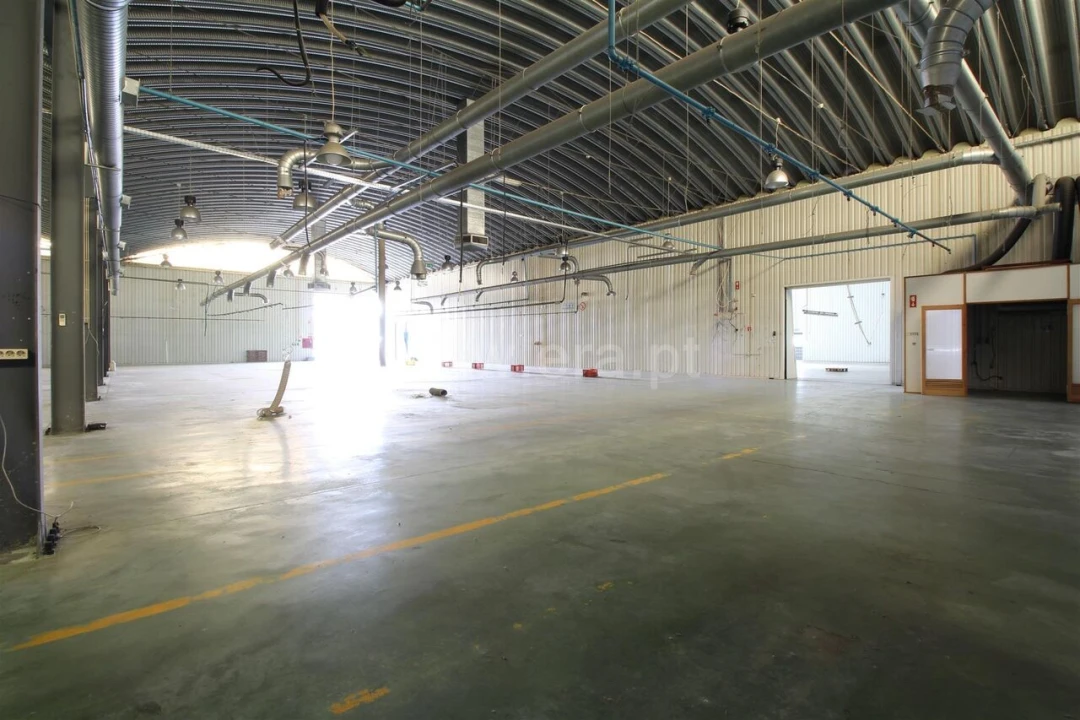 Armazém para Venda em Raiva, Pedorido e Paraíso Foto 13