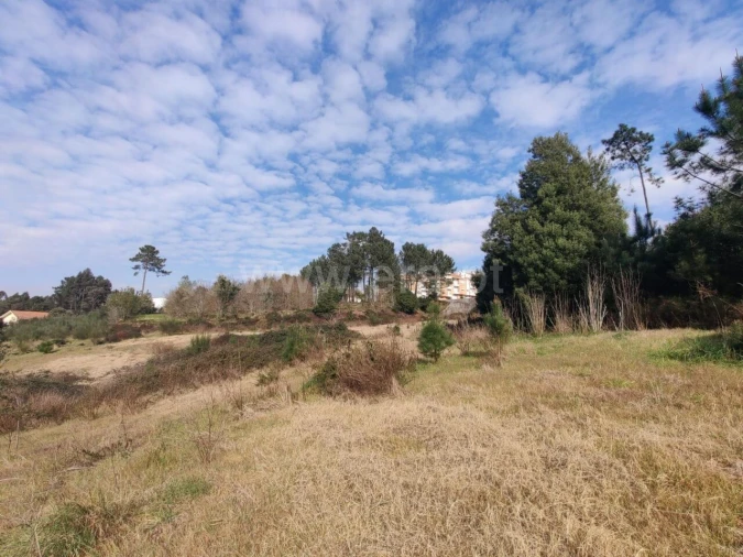 Terreno para Venda em Sandim, Olival, Lever e Crestuma Foto 12