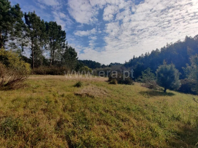 Terreno para Venda em Sandim, Olival, Lever e Crestuma Foto 9