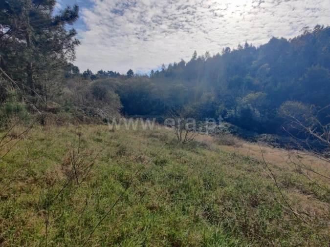 Terreno para Venda em Sandim, Olival, Lever e Crestuma Foto 7