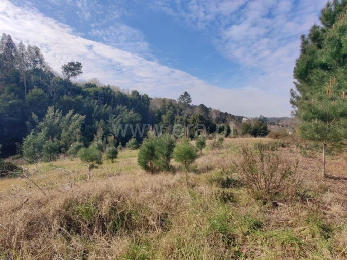Terreno para Venda em Sandim, Olival, Lever e Crestuma Foto 15