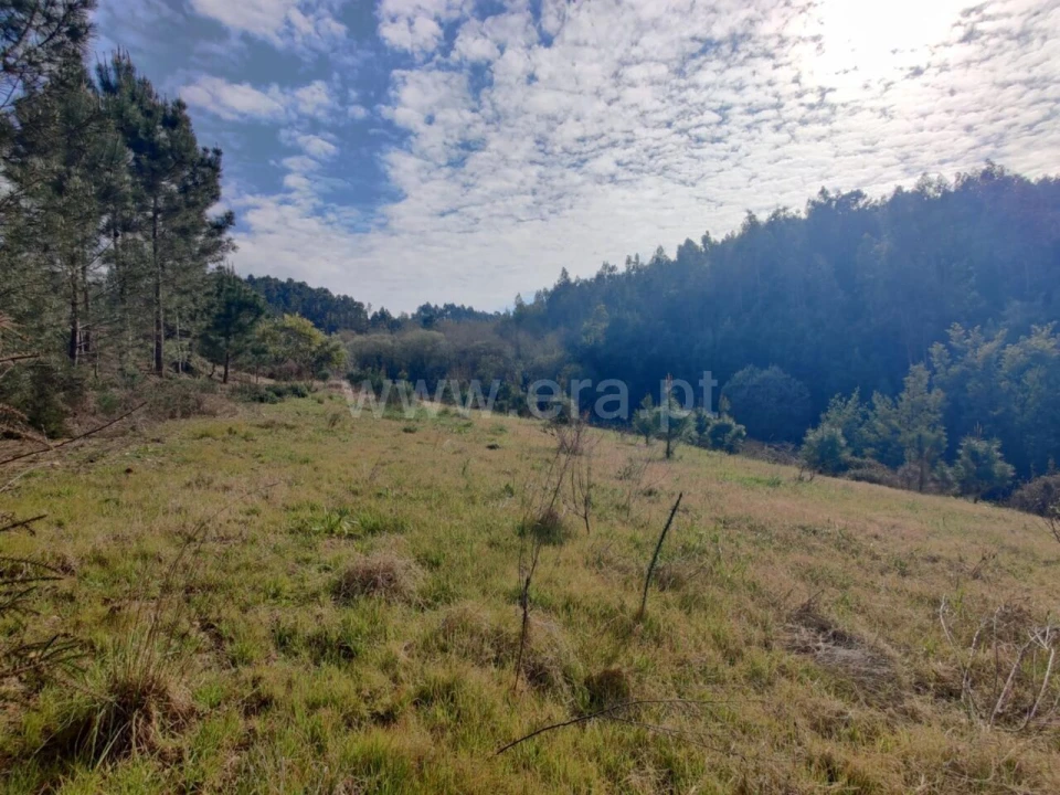 Terreno para Venda em Sandim, Olival, Lever e Crestuma Foto 11