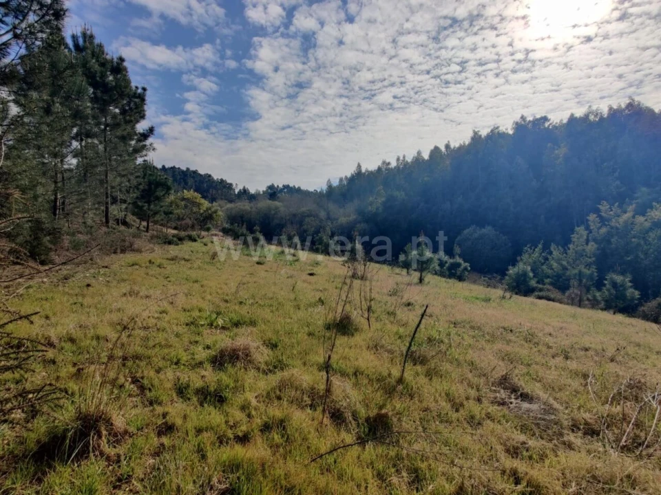 Terreno para Venda em Sandim, Olival, Lever e Crestuma Foto 6