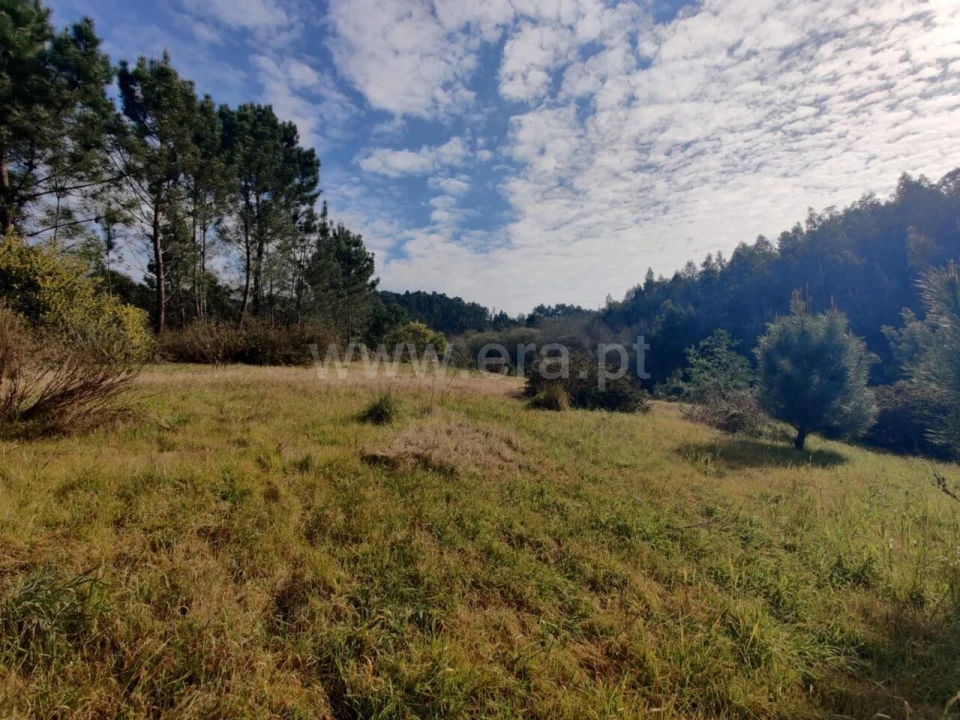 Terreno para Venda em Sandim, Olival, Lever e Crestuma Foto 9