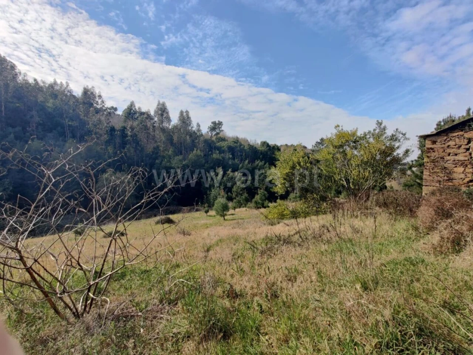 Terreno para Venda em Sandim, Olival, Lever e Crestuma Foto 14
