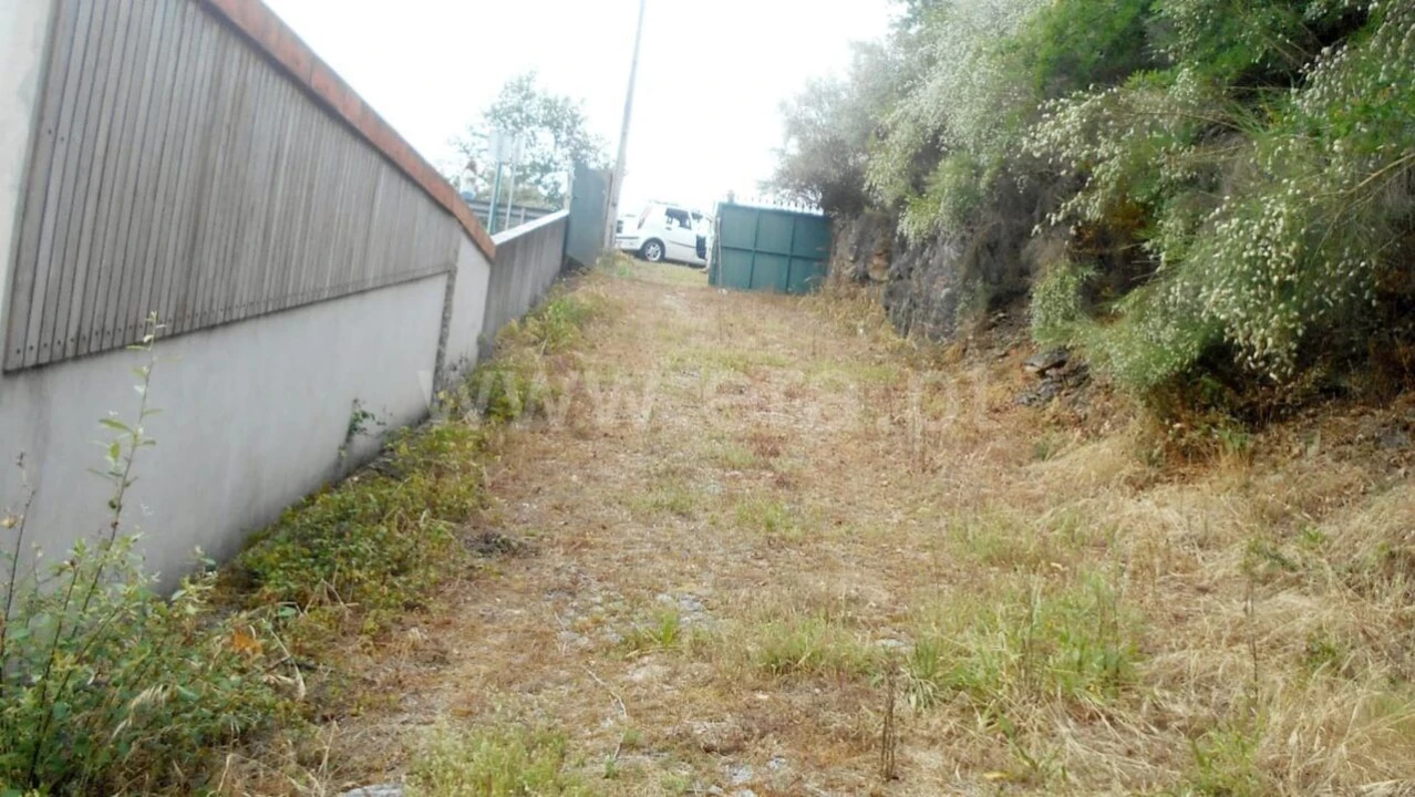 Quinta T0 para Venda em Raiva, Pedorido e Paraíso Foto 8