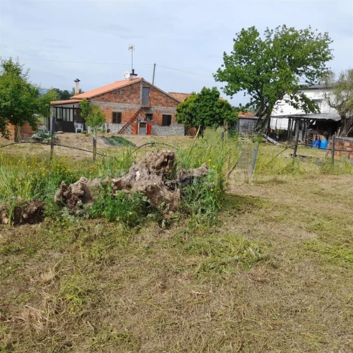 Terreno para Venda em Ovoa e Vimieiro Foto 5