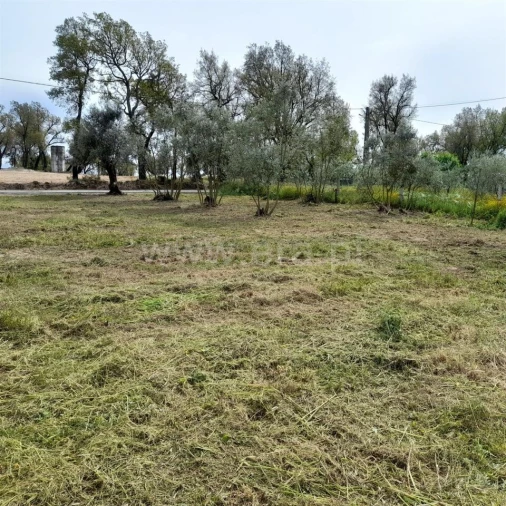 Terreno para Venda em Ovoa e Vimieiro Foto 1