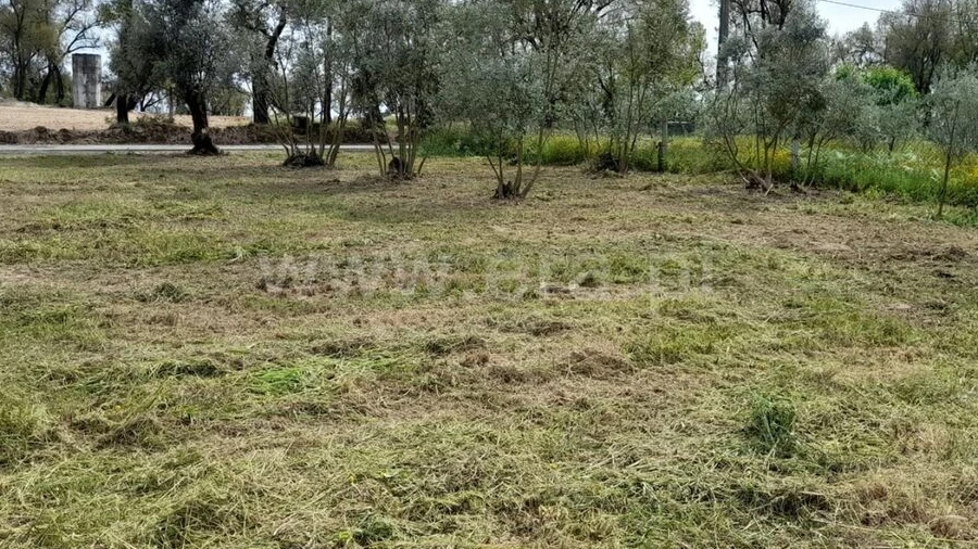 Terreno para Venda em Ovoa e Vimieiro