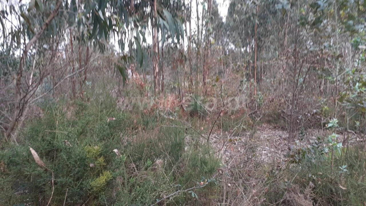 Terreno para Venda em Sandim, Olival, Lever e Crestuma Foto 3
