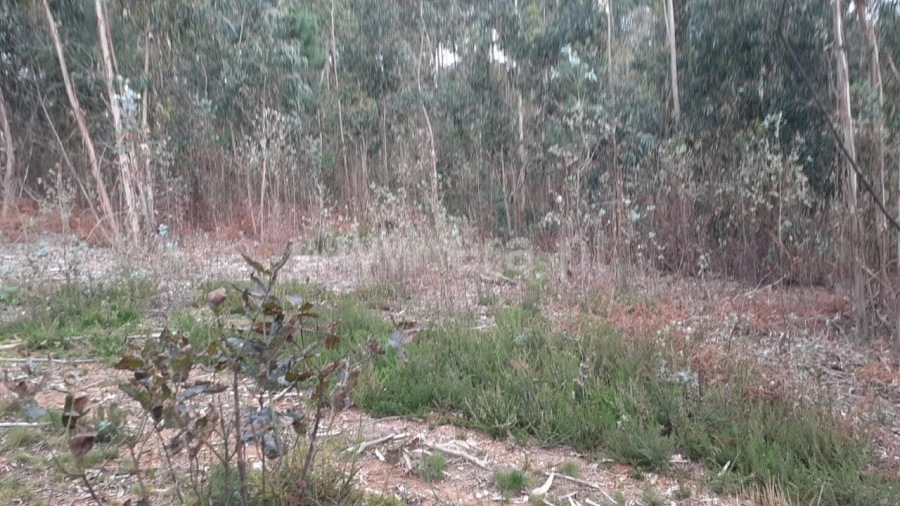 Terreno para Venda em Sandim, Olival, Lever e Crestuma Foto 5