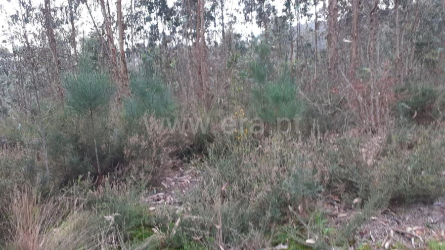 Terreno para Venda em Sandim, Olival, Lever e Crestuma Foto 4