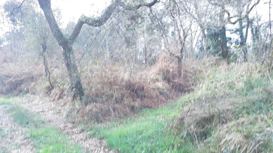 Terreno para Venda em Sandim, Olival, Lever e Crestuma Foto 2