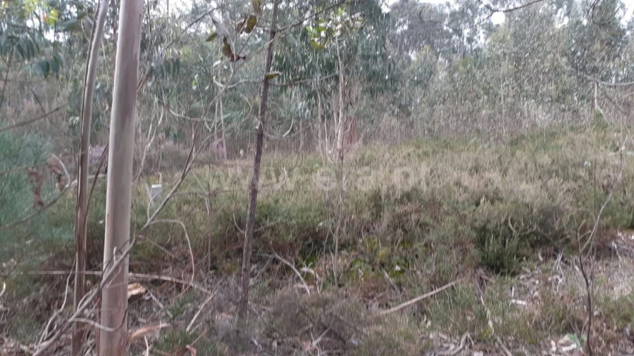 Terreno para Venda em Sandim, Olival, Lever e Crestuma Foto 6