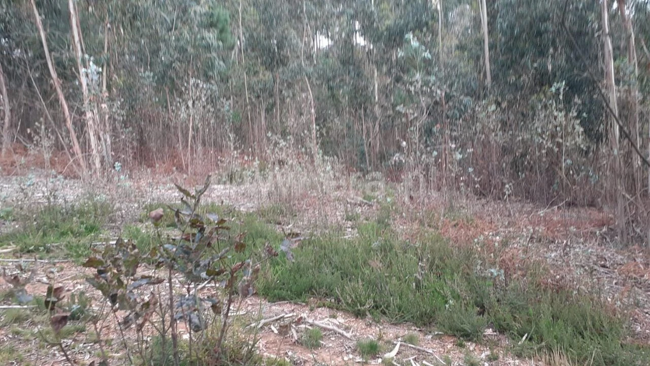 Terreno para Venda em Sandim, Olival, Lever e Crestuma Foto 5