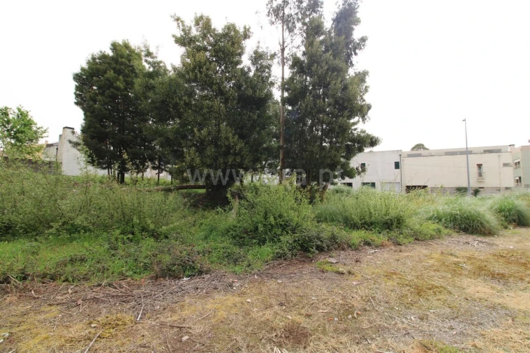 Terreno para Venda em Pedroso e Seixezelo Foto 7