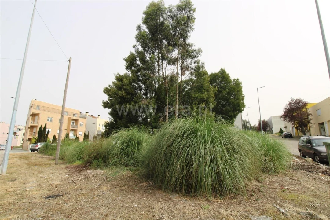 Terreno para Venda em Pedroso e Seixezelo Foto 6