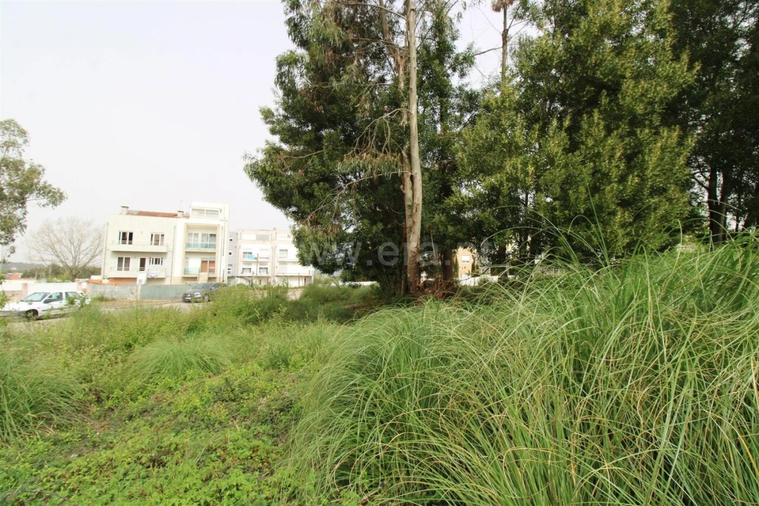 Terreno para Venda em Pedroso e Seixezelo Foto 4