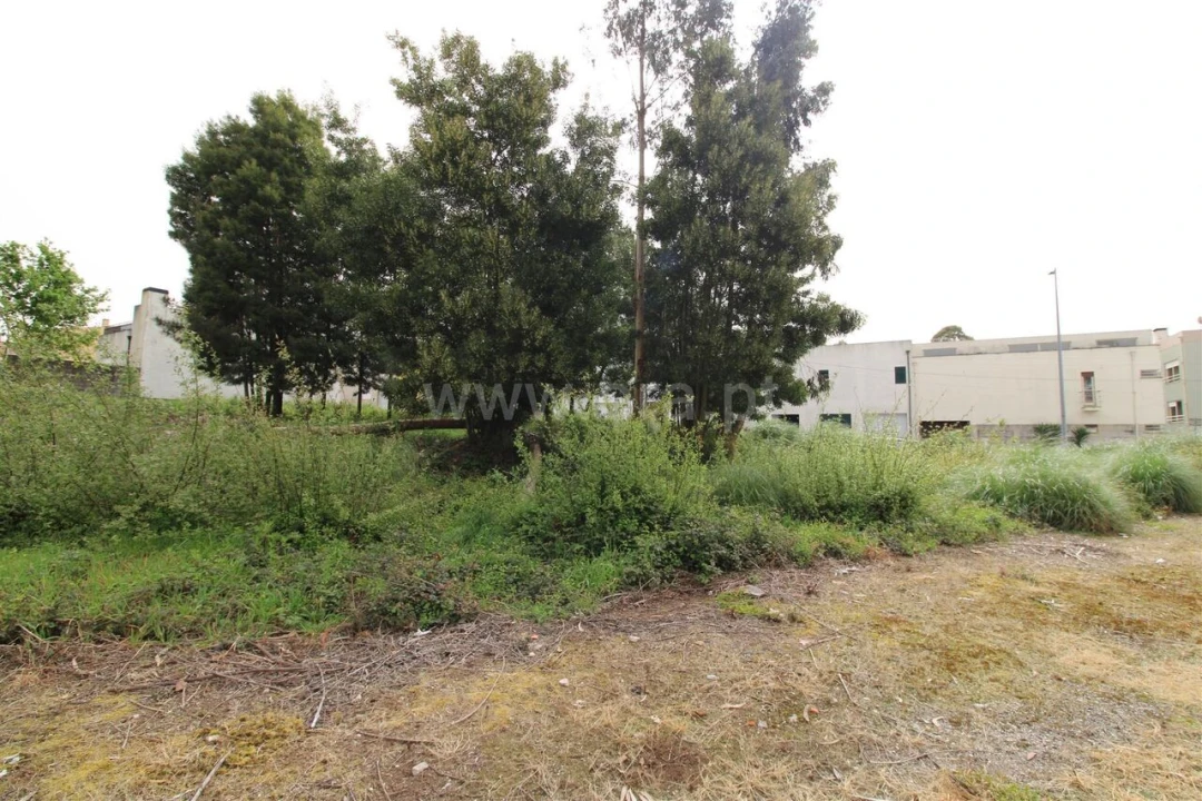 Terreno para Venda em Pedroso e Seixezelo Foto 7