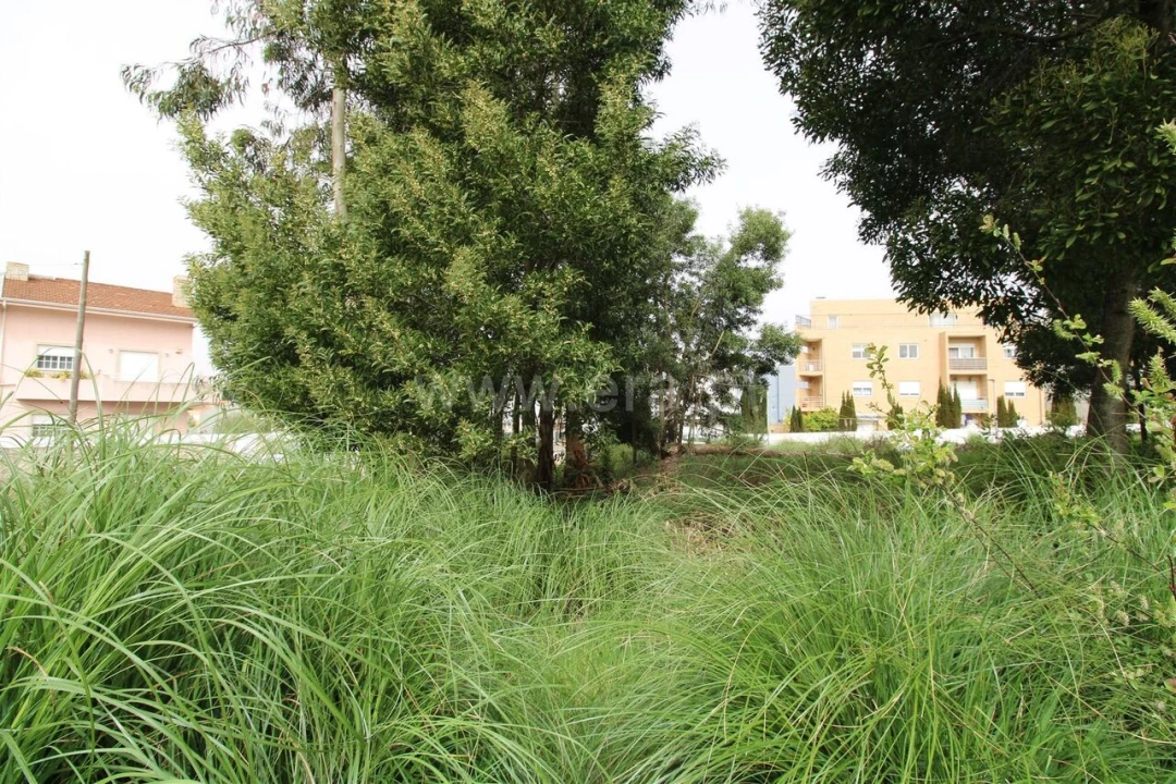Terreno para Venda em Pedroso e Seixezelo Foto 9