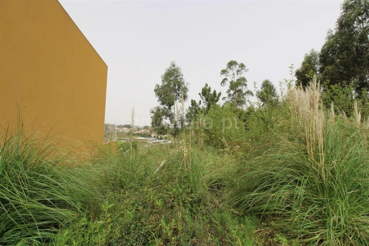 Terreno para Venda em Pedroso e Seixezelo Foto 6