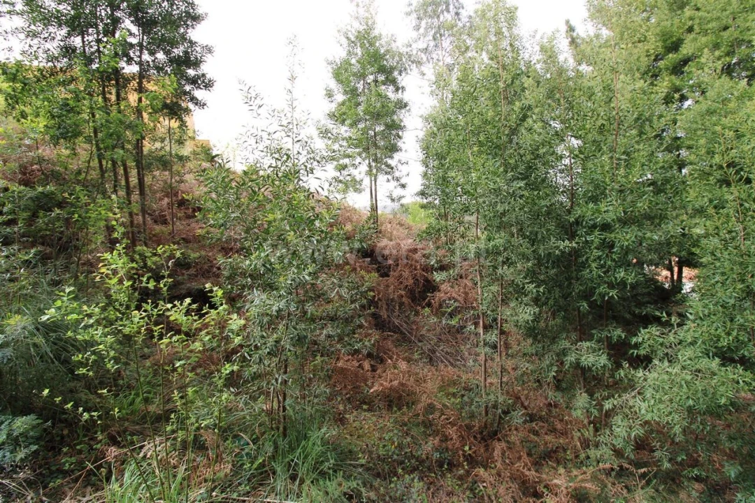 Terreno para Venda em Pedroso e Seixezelo Foto 4
