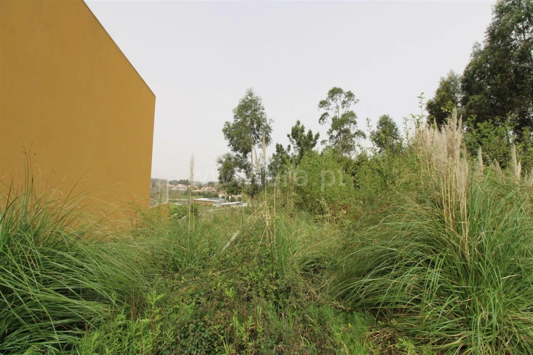 Terreno para Venda em Pedroso e Seixezelo Foto 6