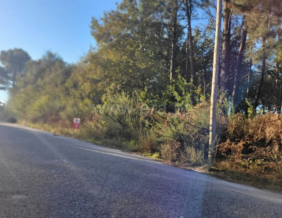 Terreno para Venda em Pedroso e Seixezelo Foto 2