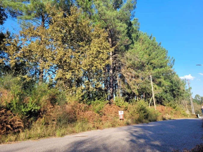 Terreno para Venda em Pedroso e Seixezelo Foto 3