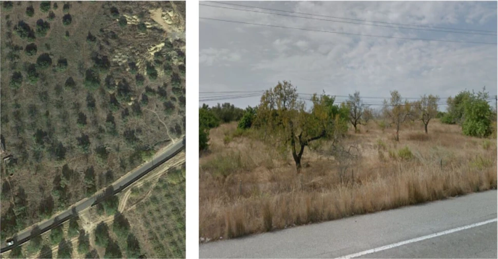 Terreno para Venda em Tavira (Santa Maria e Santiago) Foto 5