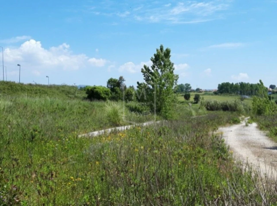 Terreno para Venda em Alcobaça e Vestiaria Foto 2