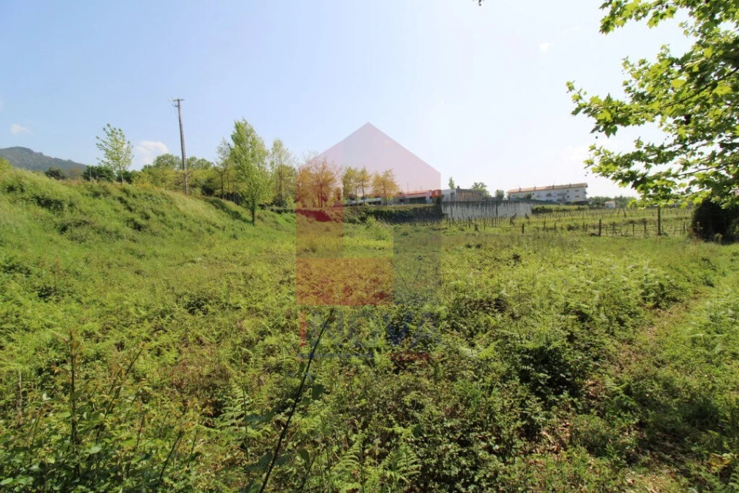 Terreno para Venda em Caldelas, Sequeiros e Paranhos Foto 14