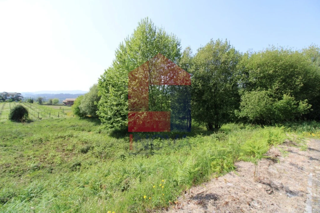 Terreno para Venda em Caldelas, Sequeiros e Paranhos Foto 4
