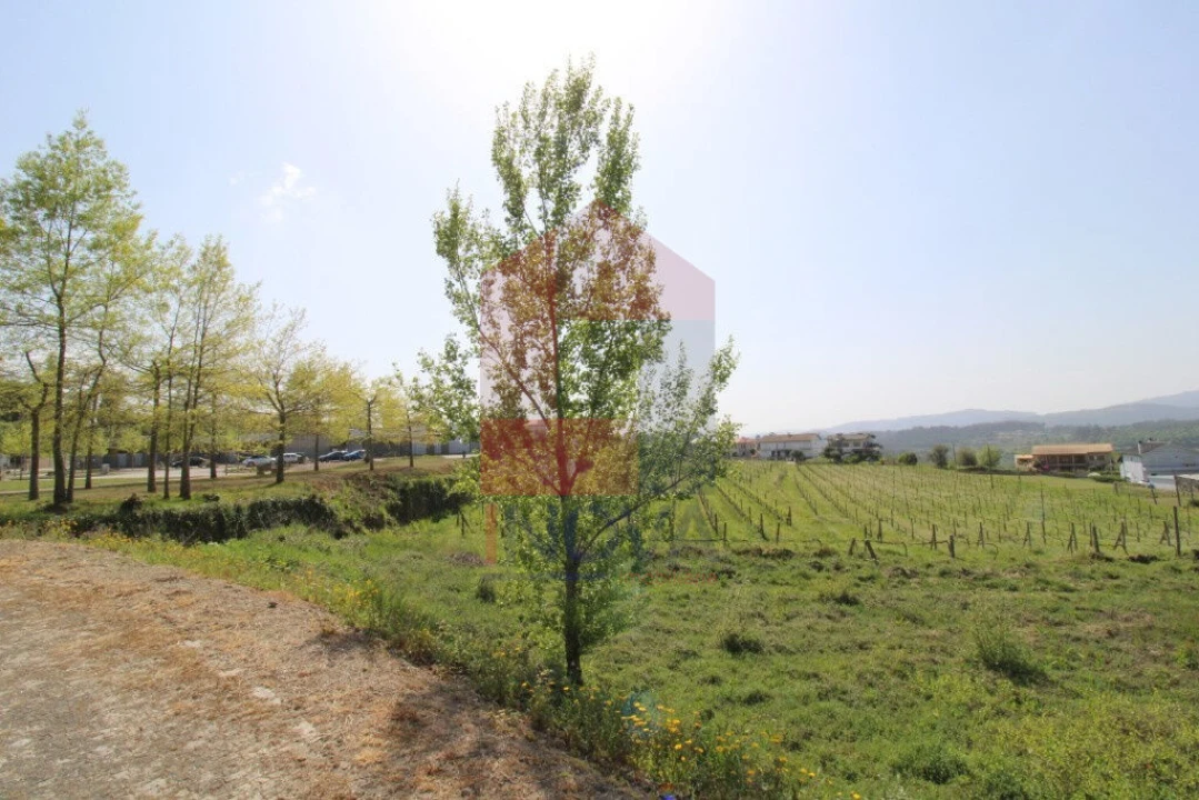 Terreno para Venda em Caldelas, Sequeiros e Paranhos Foto 19