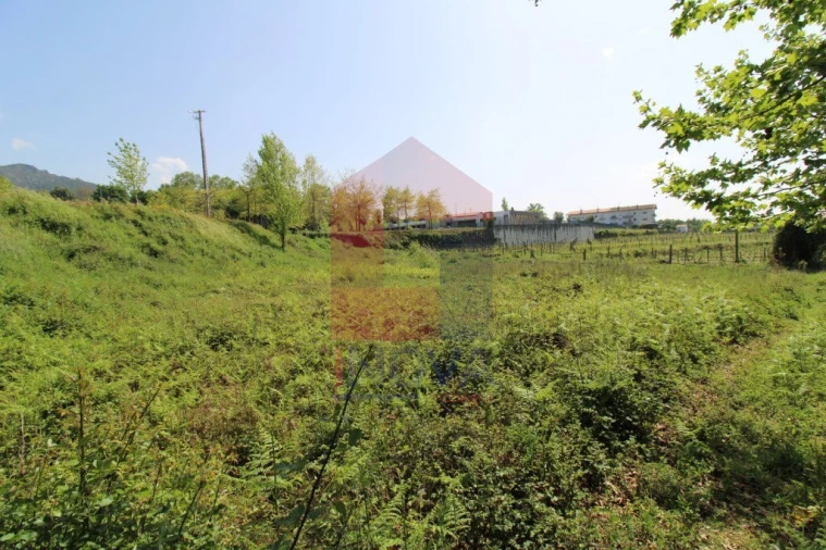 Terreno para Venda em Caldelas, Sequeiros e Paranhos Foto 14
