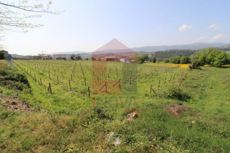 Terreno para Venda em Caldelas, Sequeiros e Paranhos Foto 21