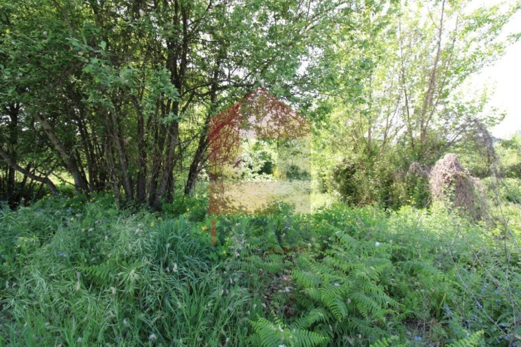 Terreno para Venda em Caldelas, Sequeiros e Paranhos Foto 10