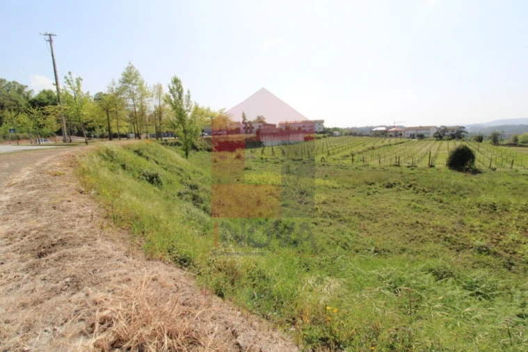 Terreno para Venda em Caldelas, Sequeiros e Paranhos Foto 2