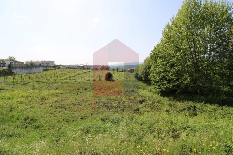 Terreno para Venda em Caldelas, Sequeiros e Paranhos Foto 3