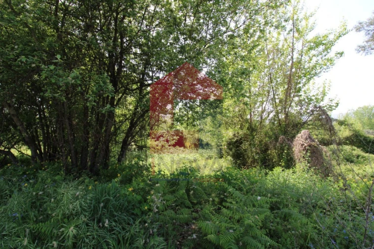 Terreno para Venda em Caldelas, Sequeiros e Paranhos Foto 11