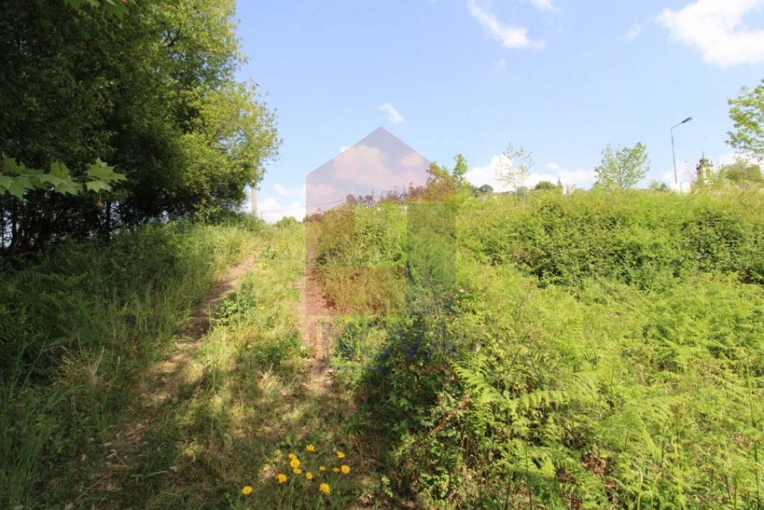 Terreno para Venda em Caldelas, Sequeiros e Paranhos Foto 15
