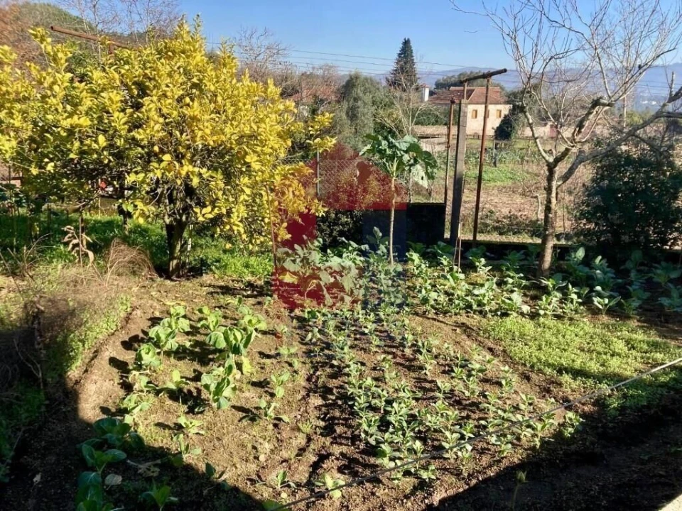 Moradia T3 para Venda em Pico de Regalados, Gondiães e Mós Foto 27