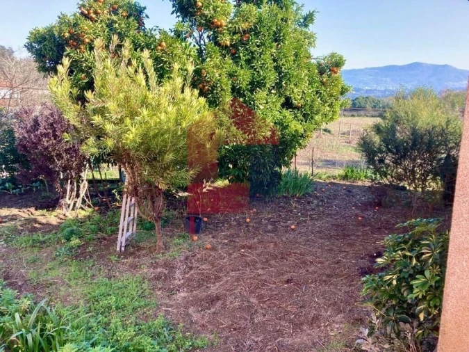 Moradia T3 para Venda em Pico de Regalados, Gondiães e Mós Foto 26