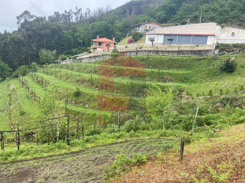 Terreno para Venda em Sande, Vilarinho, Barros e Gomide Foto 3